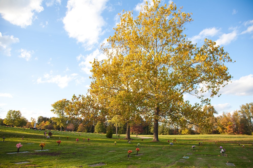 Life Remembered Memorial Parks