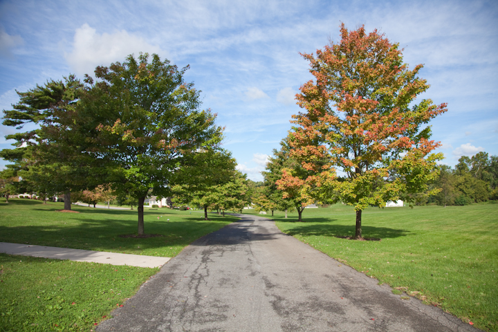 Conestoga Memorial Park
