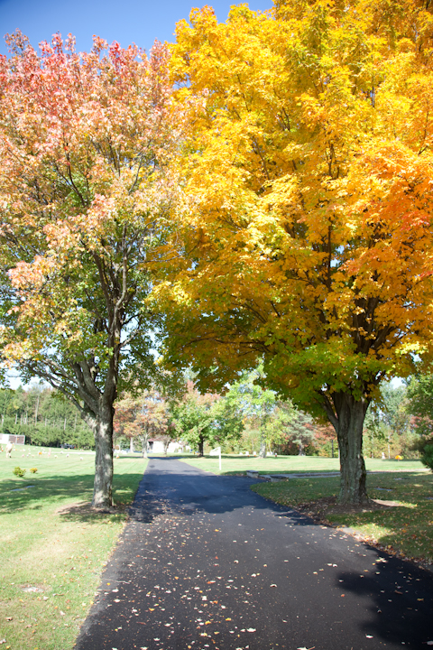 Fairview Memorial Park