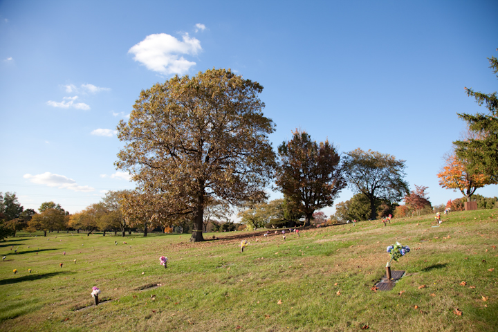 Greenwood Memorial Park