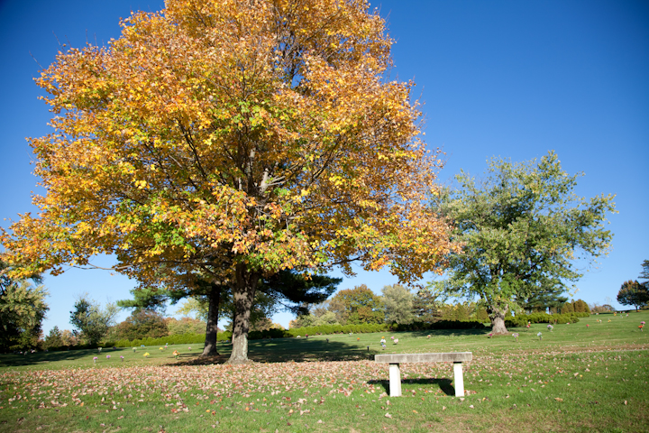 Greenwood Memorial Park