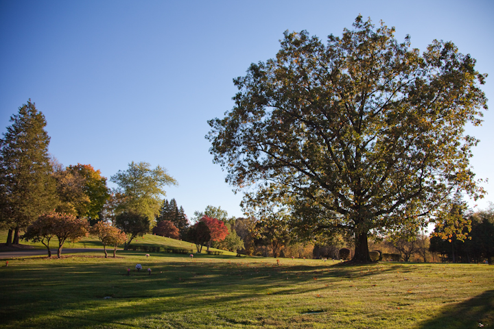 Greenwood Memorial Park