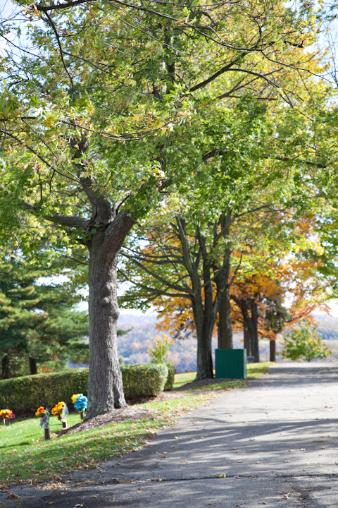 Mon Valley Memorial Park - Cemetery Plots - Life Remembered