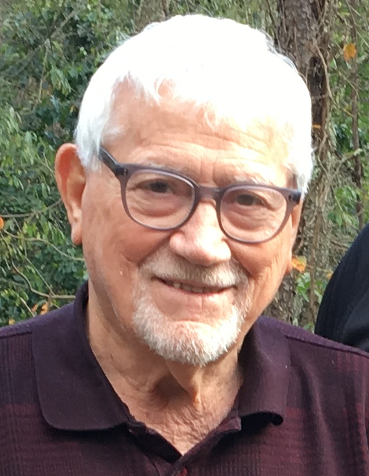 Louis D. Falo Sr.