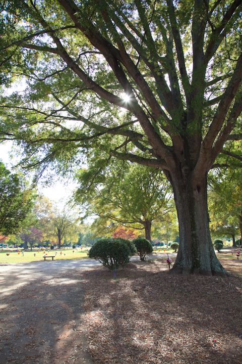 Sunset Memory Gardens