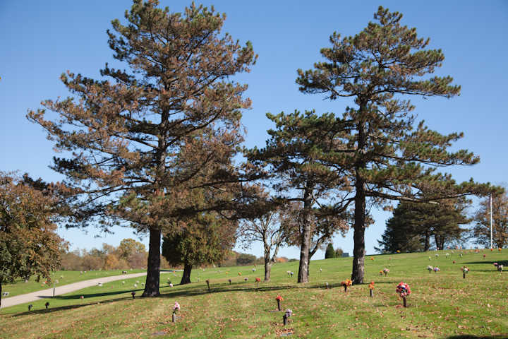 Westmoreland County Memorial Park