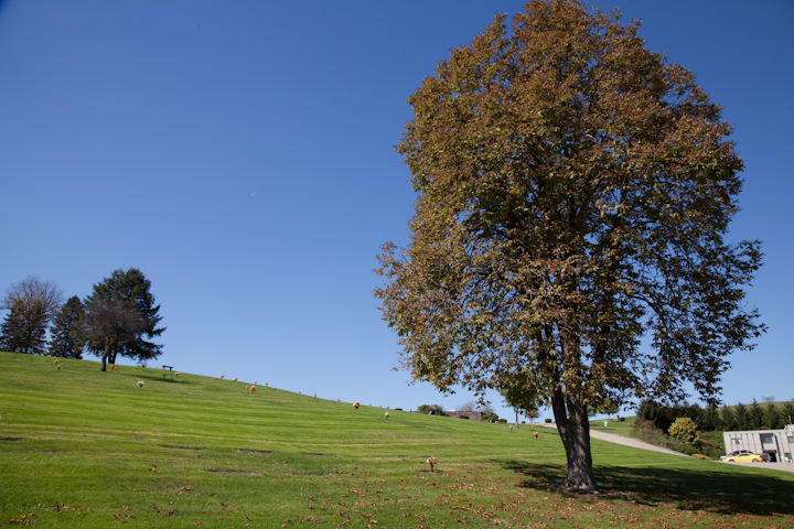 Westmoreland County Memorial Park